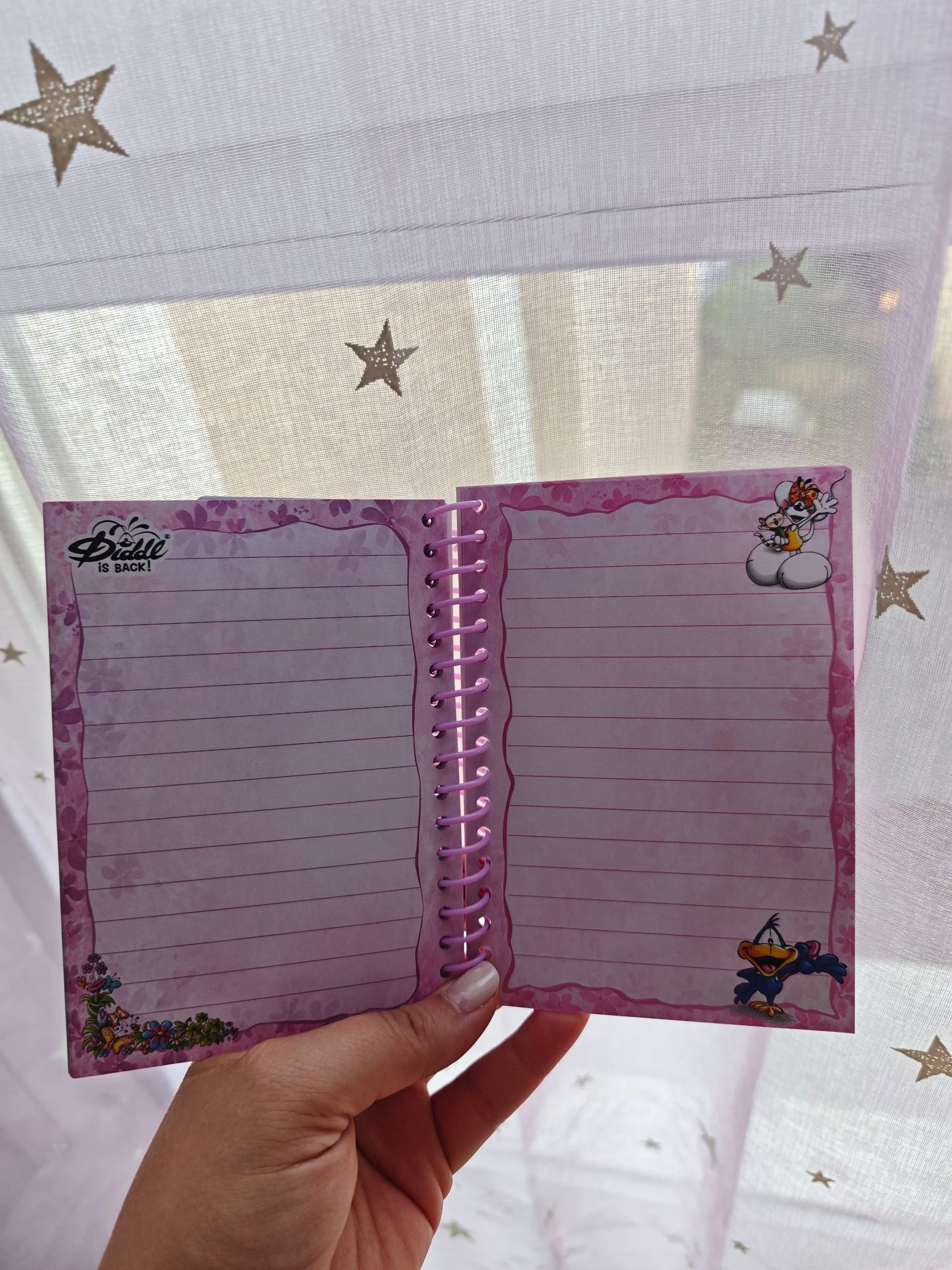 Petit cahier carnet Diddl is Back Diddlina Danseuse France A6 – photo 7